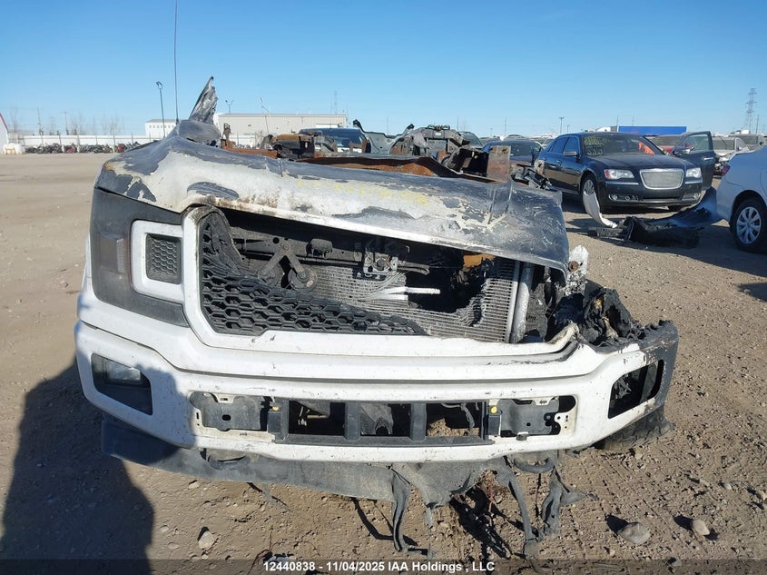 1FTEW1E56LFB40201 2020 FORD F-150 photo no. 12