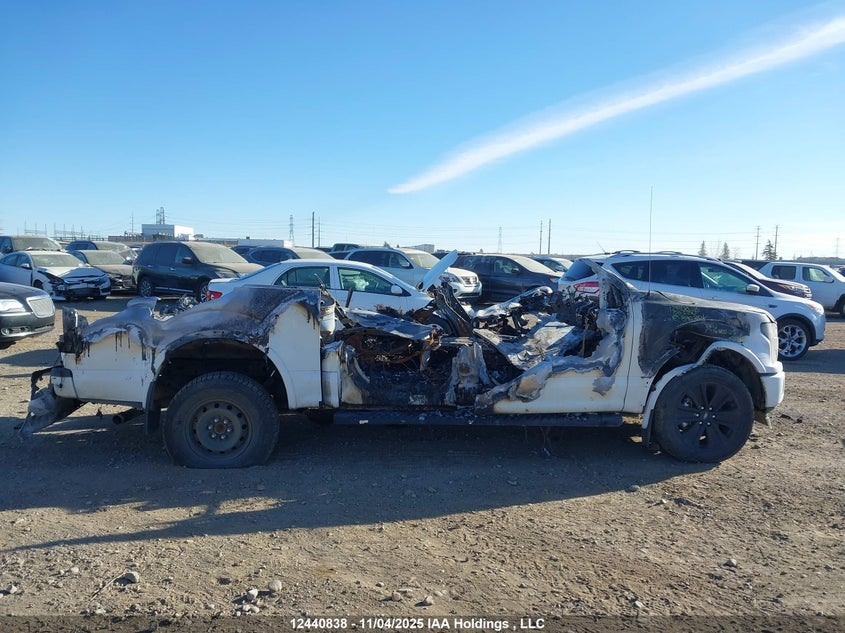 1FTEW1E56LFB40201 2020 FORD F-150 photo no. 13