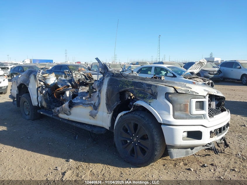 1FTEW1E56LFB40201 2020 FORD F-150 photo no. 5