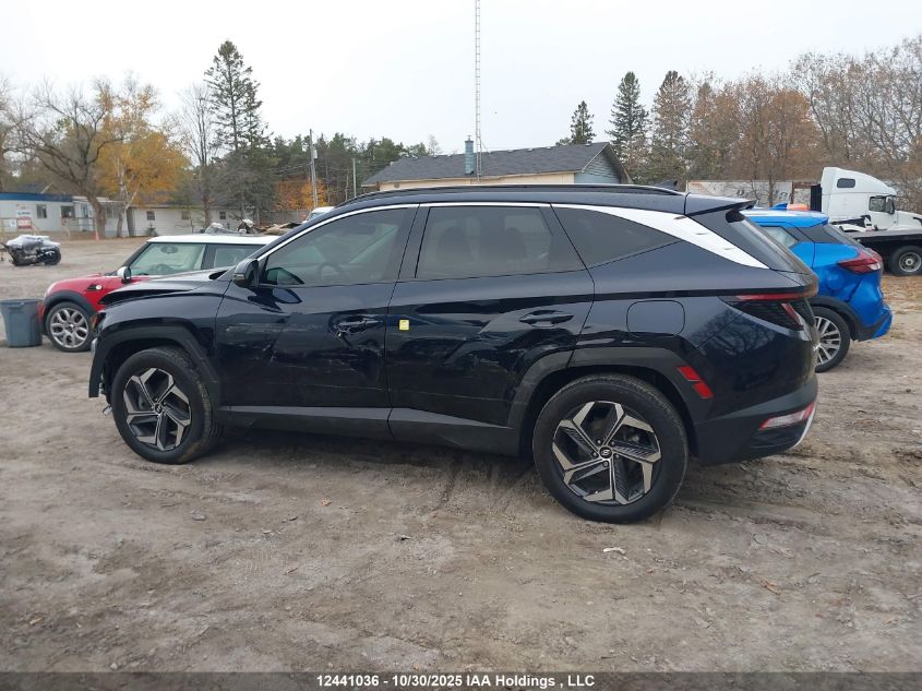 2023 Hyundai Tucson Luxury Hybrid Awd VIN: KM8JCCA10PU105561 Lot: 12441036