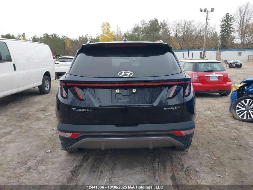 2023 Hyundai Tucson Luxury Hybrid Awd VIN: KM8JCCA10PU105561 Lot: 12441036