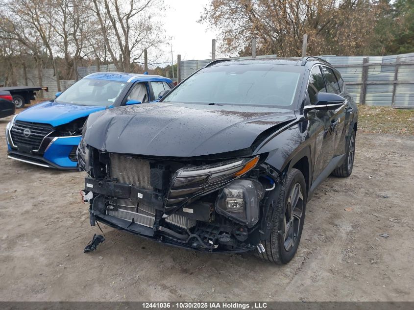 2023 Hyundai Tucson Luxury Hybrid Awd VIN: KM8JCCA10PU105561 Lot: 12441036