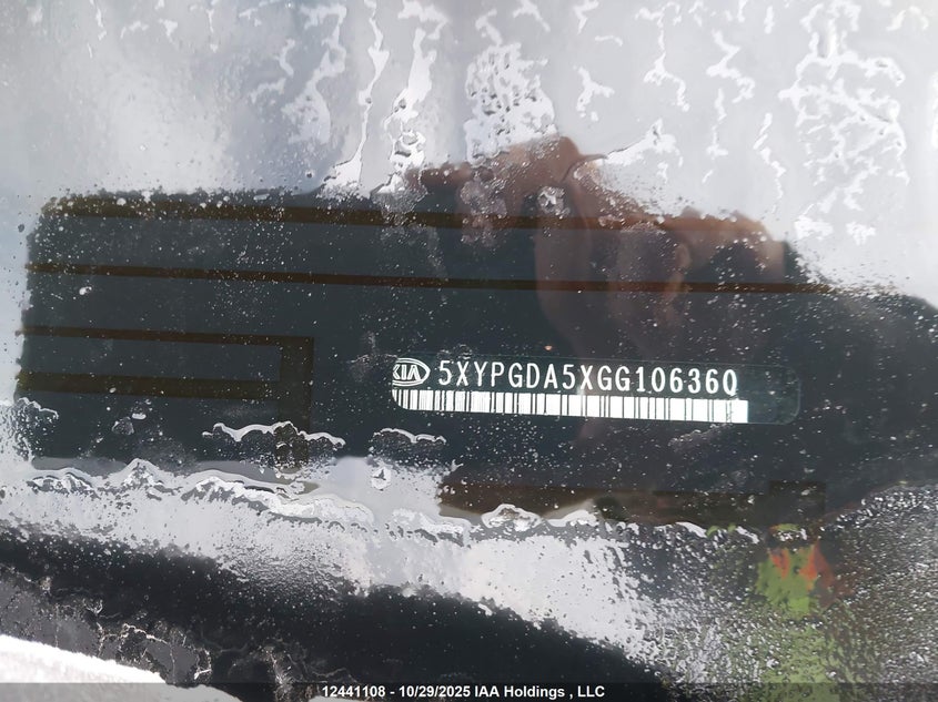 5XYPGDA5XGG106360 2016 KIA SORENTO photo no. 19