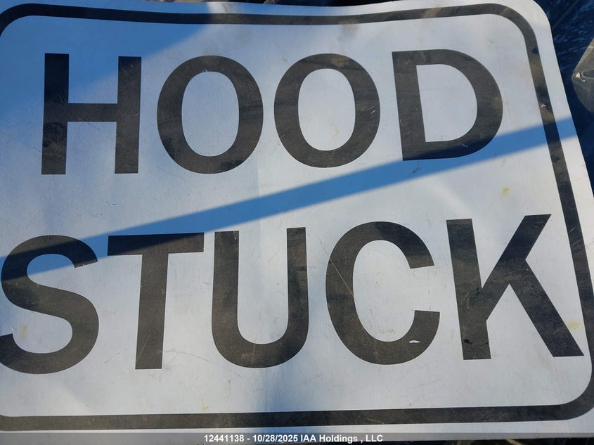 2008 Acura Rdx Technology VIN: 5J8TB18598A803037 Lot: 12441138