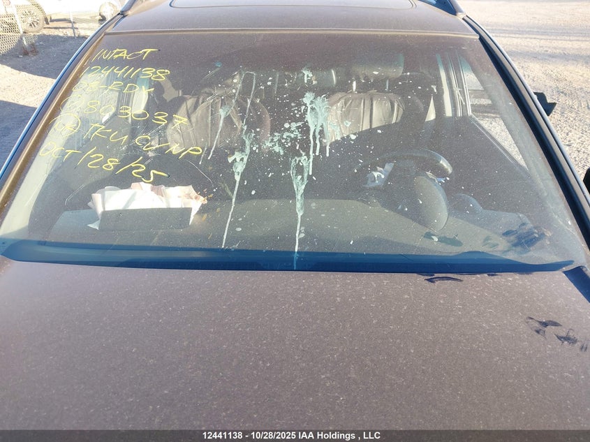 2008 Acura Rdx Technology VIN: 5J8TB18598A803037 Lot: 12441138