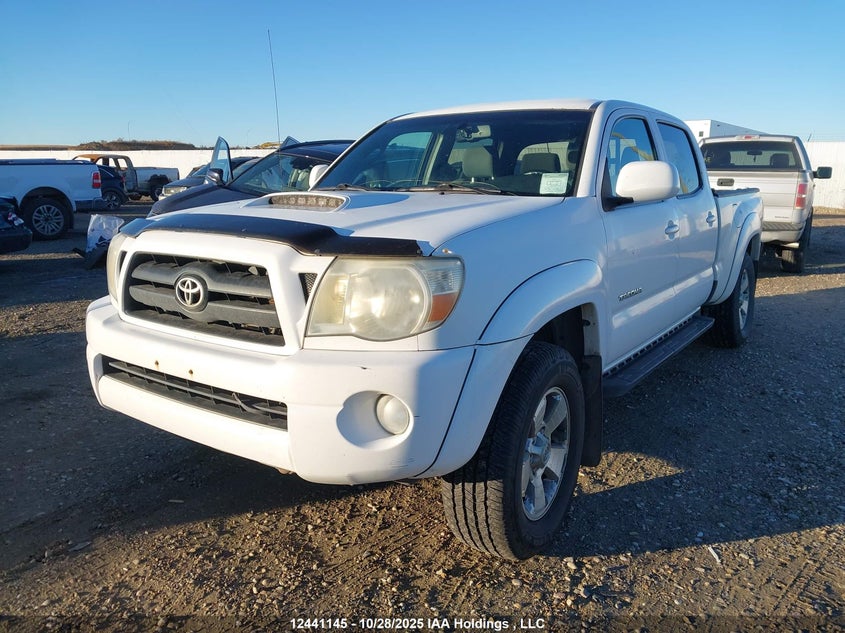 5TEMU52N78Z495157 2008 TOYOTA TACOMA photo no. 2