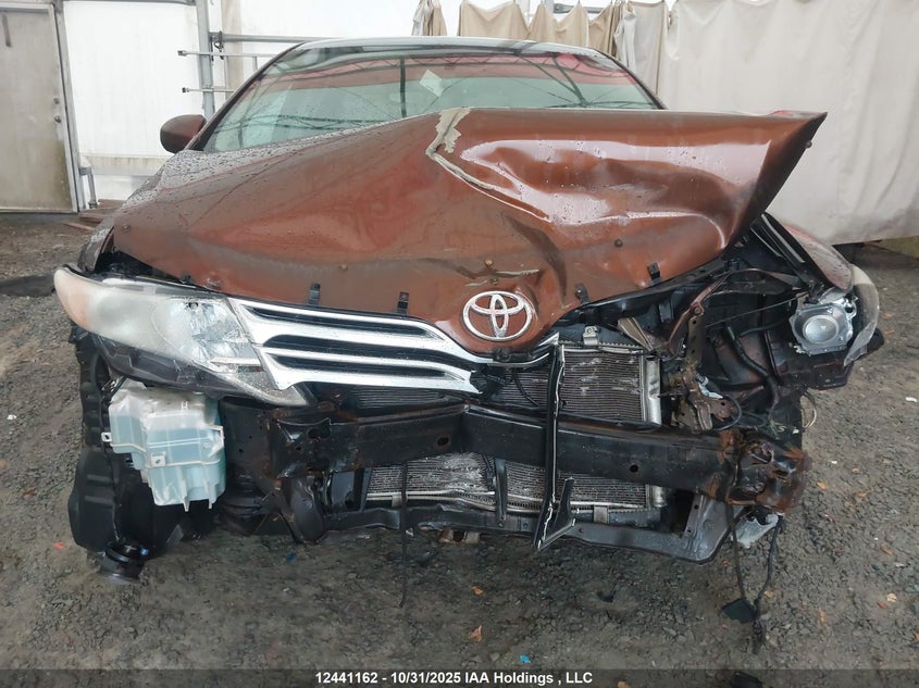 2010 Toyota Venza VIN: 4T3BK3BBXAU027013 Lot: 12441162