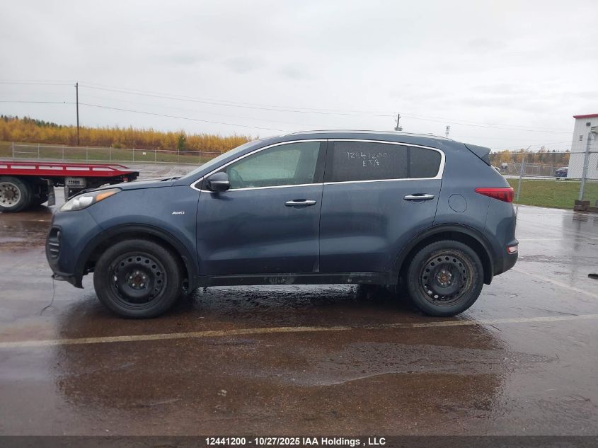 2017 Kia Sportage Ex/Ex Premium/Ex Tech VIN: KNDPNCAC9H7109229 Lot: 12441200