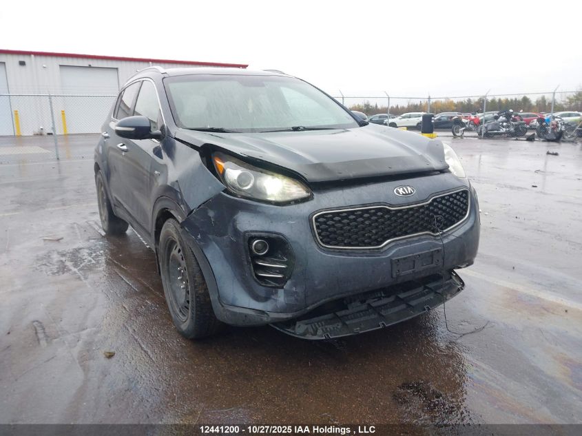2017 Kia Sportage Ex/Ex Premium/Ex Tech VIN: KNDPNCAC9H7109229 Lot: 12441200