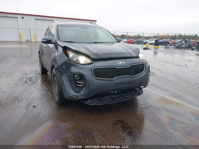 2017 Kia Sportage Ex/Ex Premium/Ex Tech VIN: KNDPNCAC9H7109229 Lot: 12441200