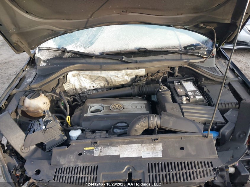 WVGLV7AX9HK006524 2017 VOLKSWAGEN TIGUAN photo no. 10