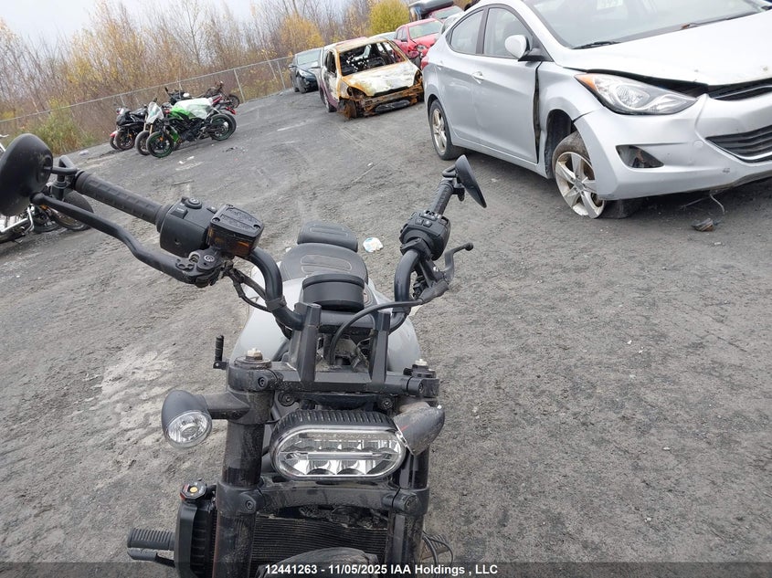 2024 Harley-Davidson Rh1250 S VIN: 5HD1ZC434RB304246 Lot: 12441263