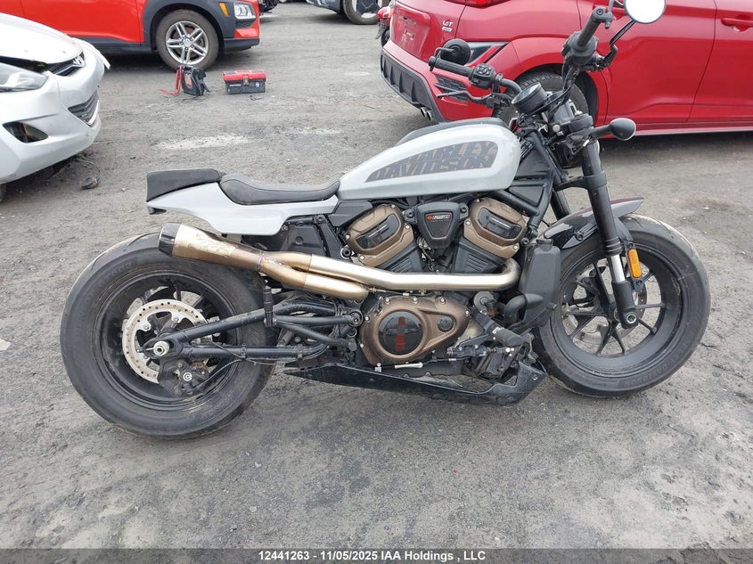 2024 Harley-Davidson Rh1250 S VIN: 5HD1ZC434RB304246 Lot: 12441263