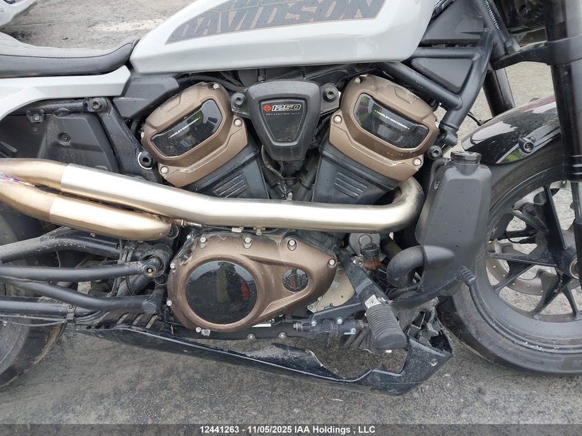 2024 Harley-Davidson Rh1250 S VIN: 5HD1ZC434RB304246 Lot: 12441263