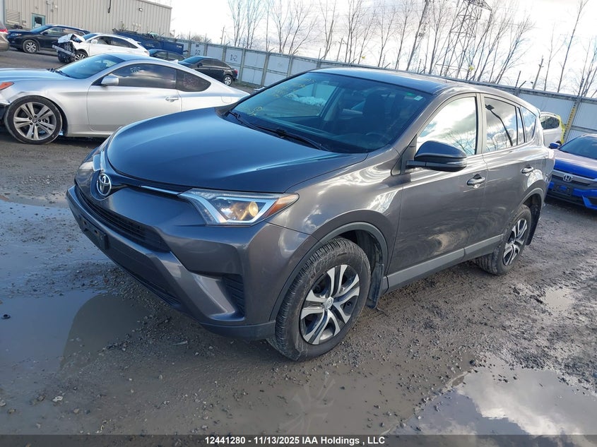2T3BFREV2GW486803 2016 TOYOTA RAV 4 photo no. 2