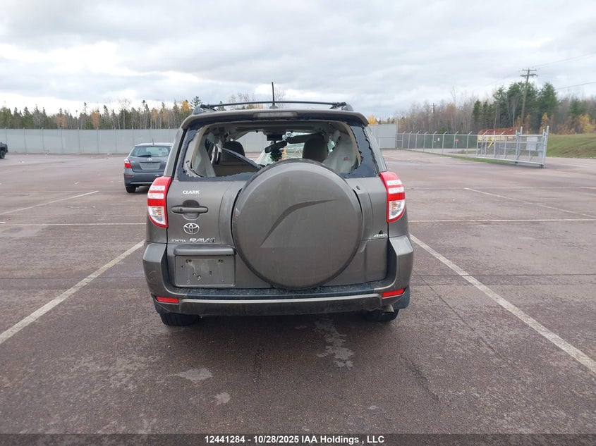 2010 Toyota Rav4 Limited VIN: 2T3DF4DV3AW048120 Lot: 12441284