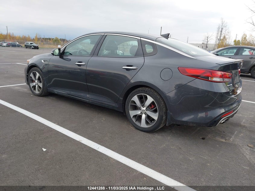 5XXGW4L24GG061569 2016 KIA OPTIMA photo no. 3