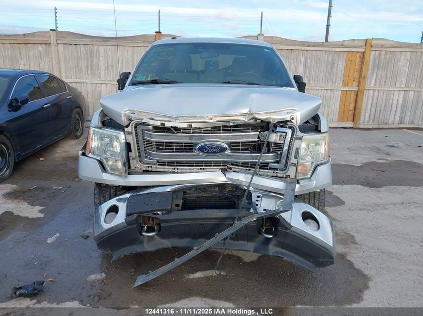 1FTFW1ETXDFC29662 2013 FORD F-150 photo no. 12