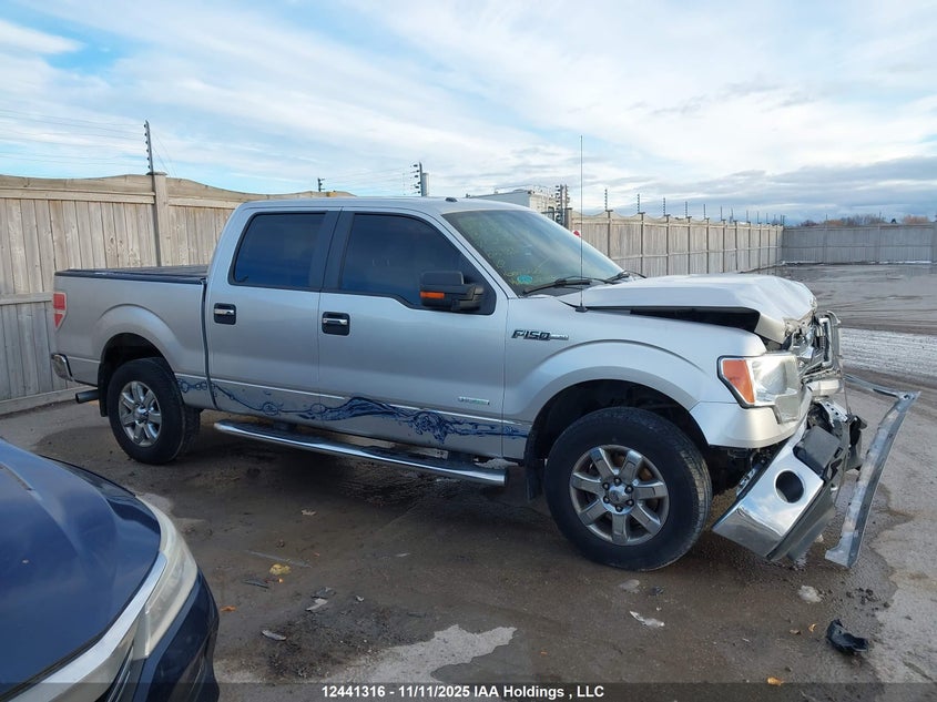 1FTFW1ETXDFC29662 2013 FORD F-150 photo no. 13
