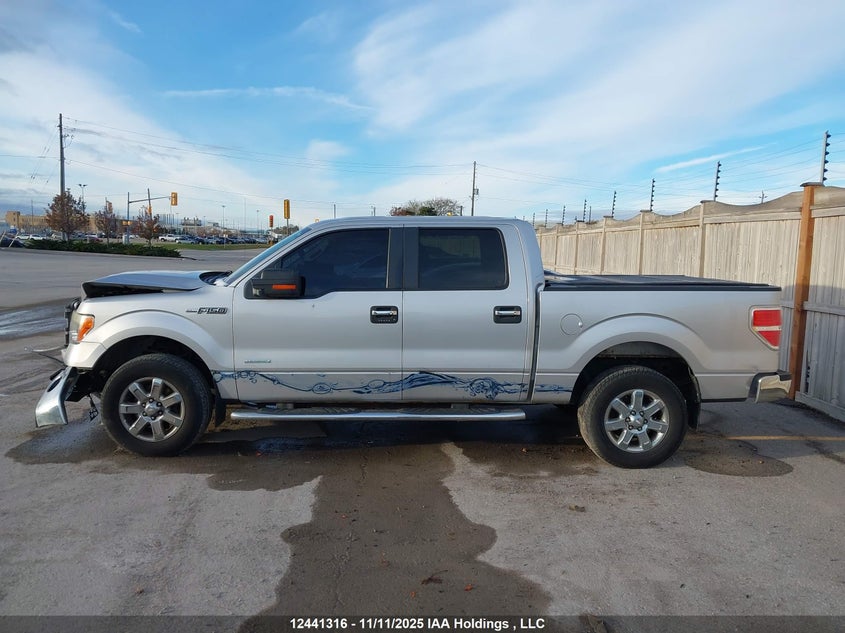 1FTFW1ETXDFC29662 2013 FORD F-150 photo no. 14