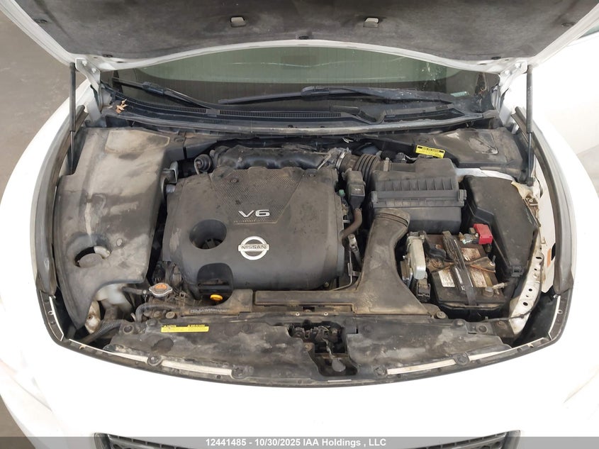 2009 Nissan Maxima S/Sv VIN: 1N4AA51E39C857259 Lot: 12441485