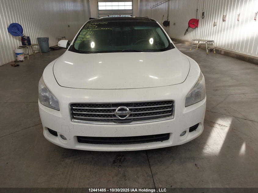 2009 Nissan Maxima S/Sv VIN: 1N4AA51E39C857259 Lot: 12441485