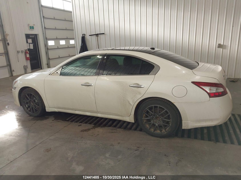 2009 Nissan Maxima S/Sv VIN: 1N4AA51E39C857259 Lot: 12441485