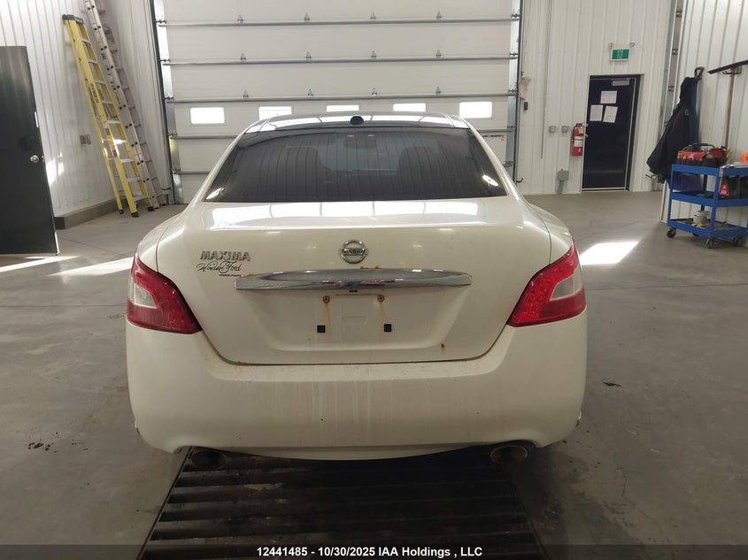 2009 Nissan Maxima S/Sv VIN: 1N4AA51E39C857259 Lot: 12441485