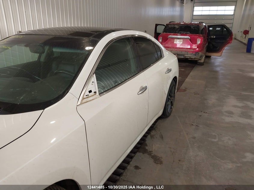 2009 Nissan Maxima S/Sv VIN: 1N4AA51E39C857259 Lot: 12441485
