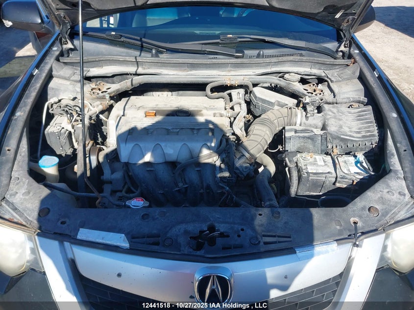 2009 Acura Tsx VIN: JH4CU26639C801976 Lot: 12441518