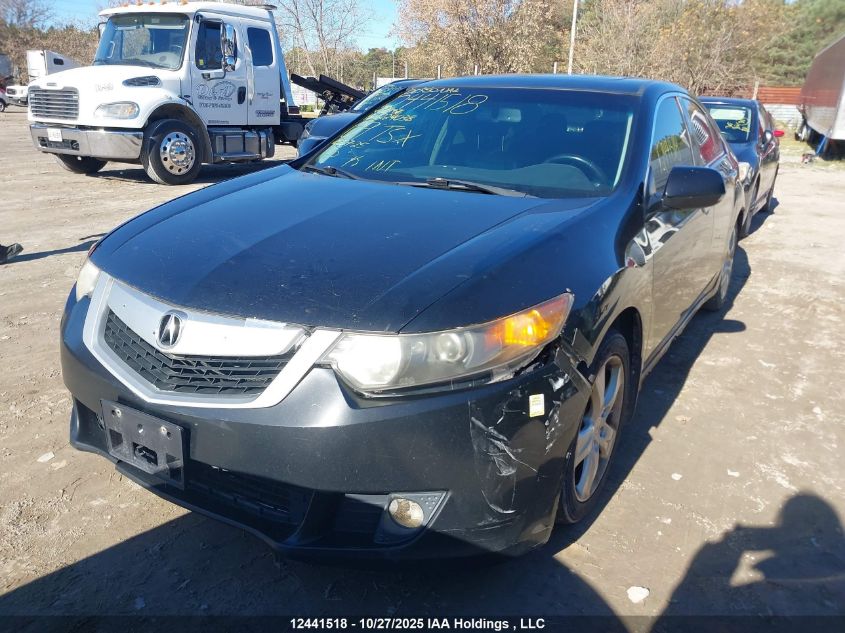 2009 Acura Tsx VIN: JH4CU26639C801976 Lot: 12441518