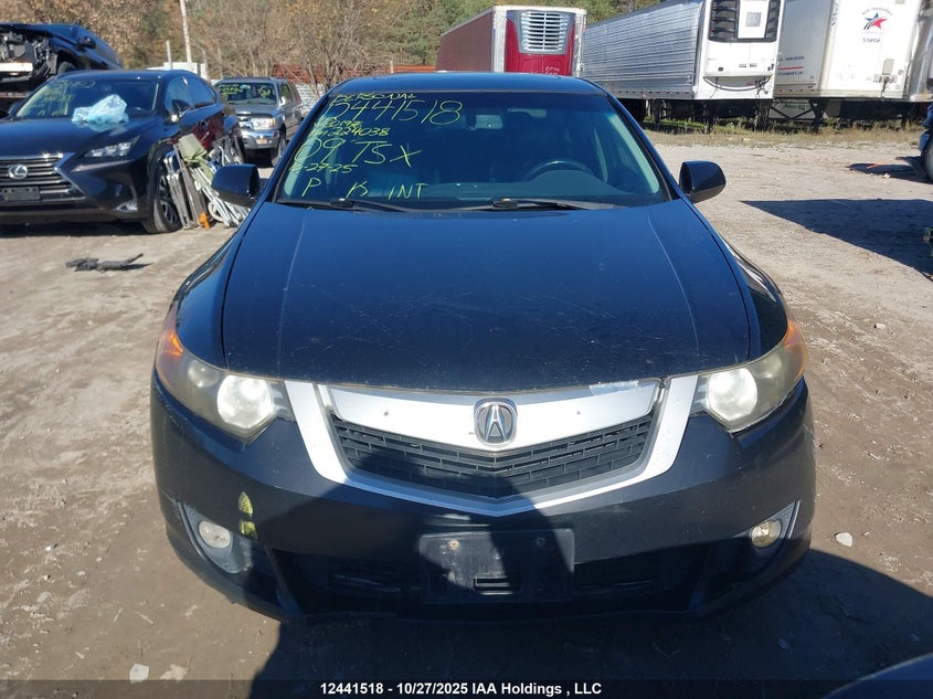 2009 Acura Tsx VIN: JH4CU26639C801976 Lot: 12441518