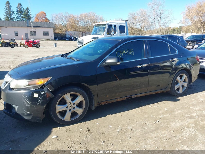 2009 Acura Tsx VIN: JH4CU26639C801976 Lot: 12441518