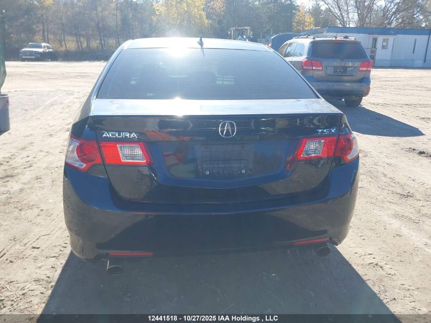 2009 Acura Tsx VIN: JH4CU26639C801976 Lot: 12441518