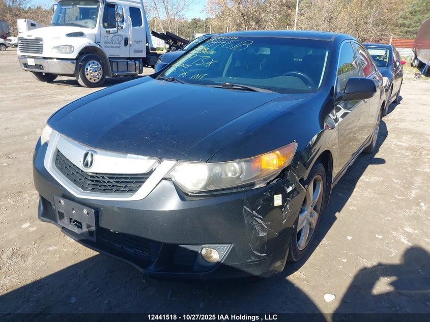 2009 Acura Tsx VIN: JH4CU26639C801976 Lot: 12441518