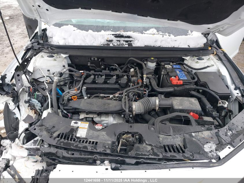 2024 Honda Accord Ex VIN: 1HGCY1F31RA800330 Lot: 12441658