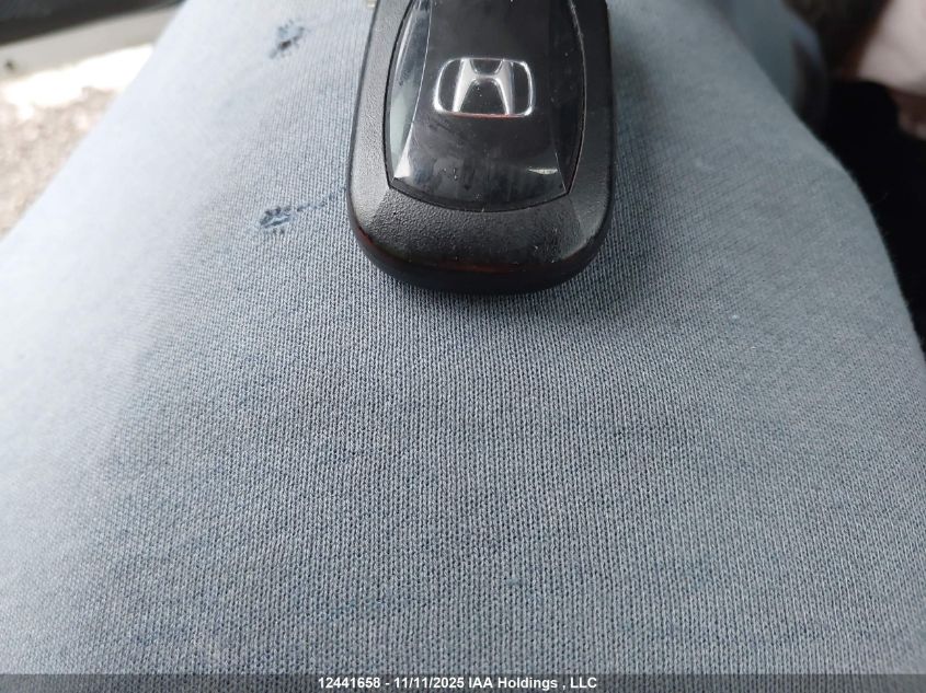 2024 Honda Accord Ex VIN: 1HGCY1F31RA800330 Lot: 12441658