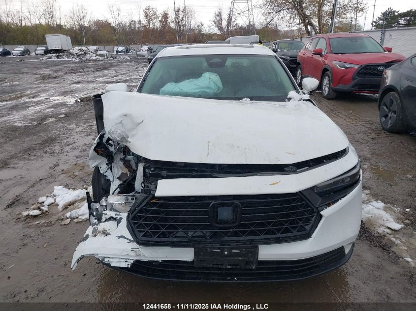 2024 Honda Accord Ex VIN: 1HGCY1F31RA800330 Lot: 12441658