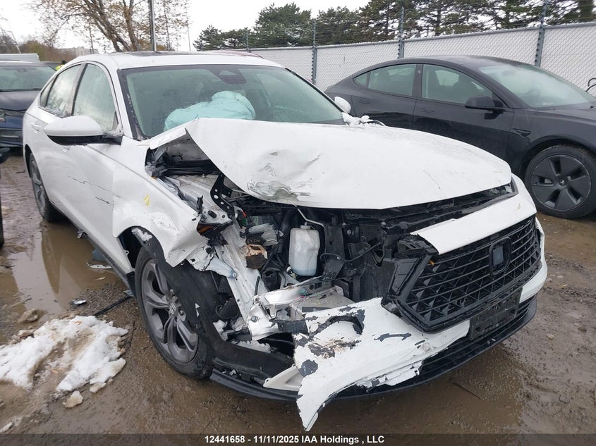 1HGCY1F31RA800330 2024 HONDA ACCORD photo no. 8