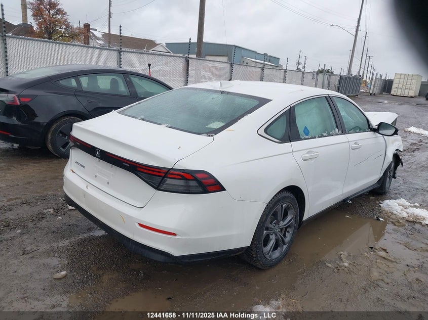 1HGCY1F31RA800330 2024 HONDA ACCORD photo no. 4