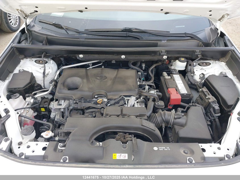 2019 Toyota Rav4 Xle/Xle Premium VIN: 2T3R1RFV8KW015906 Lot: 12441675