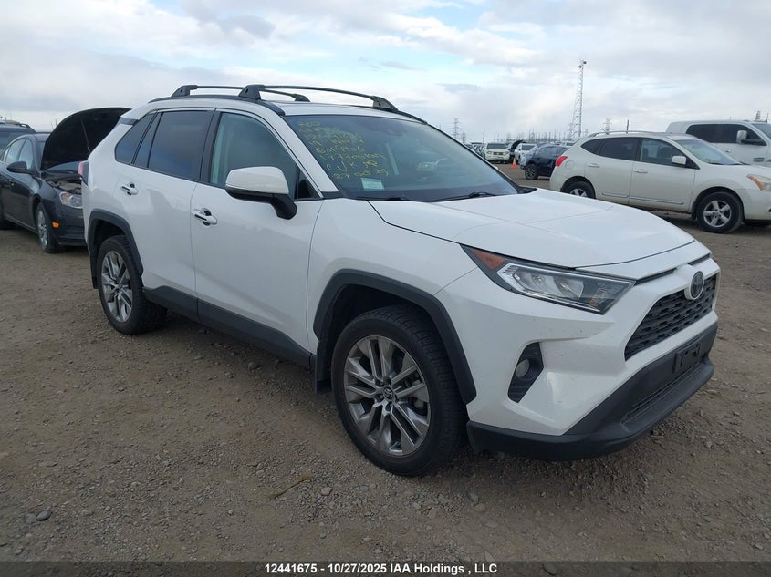 2T3R1RFV8KW015906 2019 Toyota Rav4 Xle/Xle Premium auction photo 1