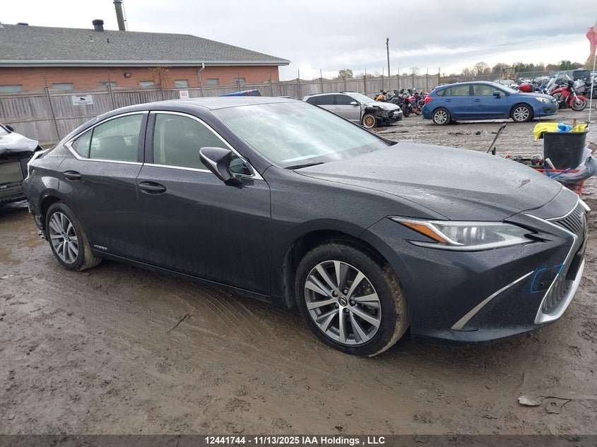 2019 Lexus Es 300H 300H VIN: JTHB21B11K2035568 Lot: 12441744