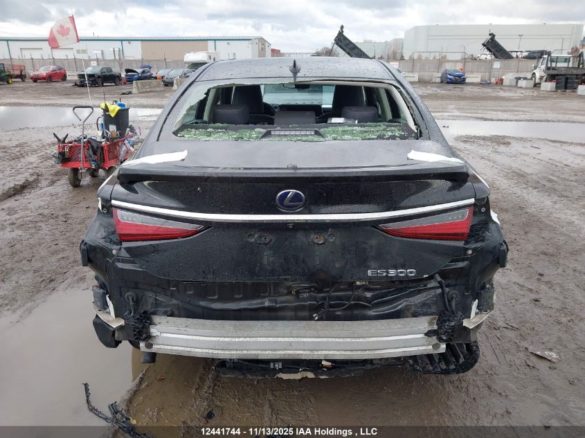 2019 Lexus Es 300H 300H VIN: JTHB21B11K2035568 Lot: 12441744