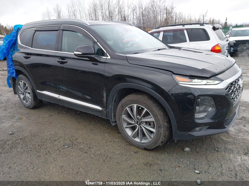 5NMS3CAD1LH254968 2020 HYUNDAI SANTA FE photo no. 12