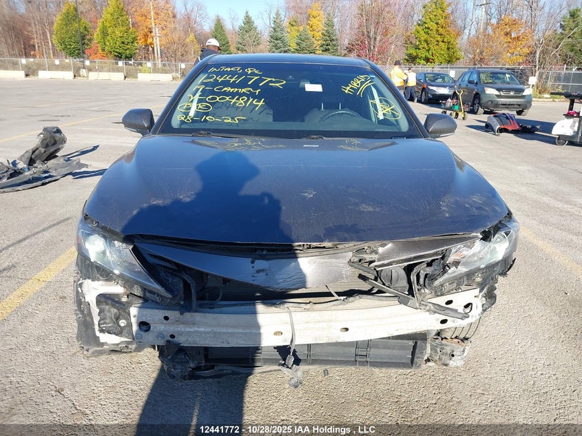 2019 Toyota Camry VIN: 4T1B31HK2KU004814 Lot: 12441772