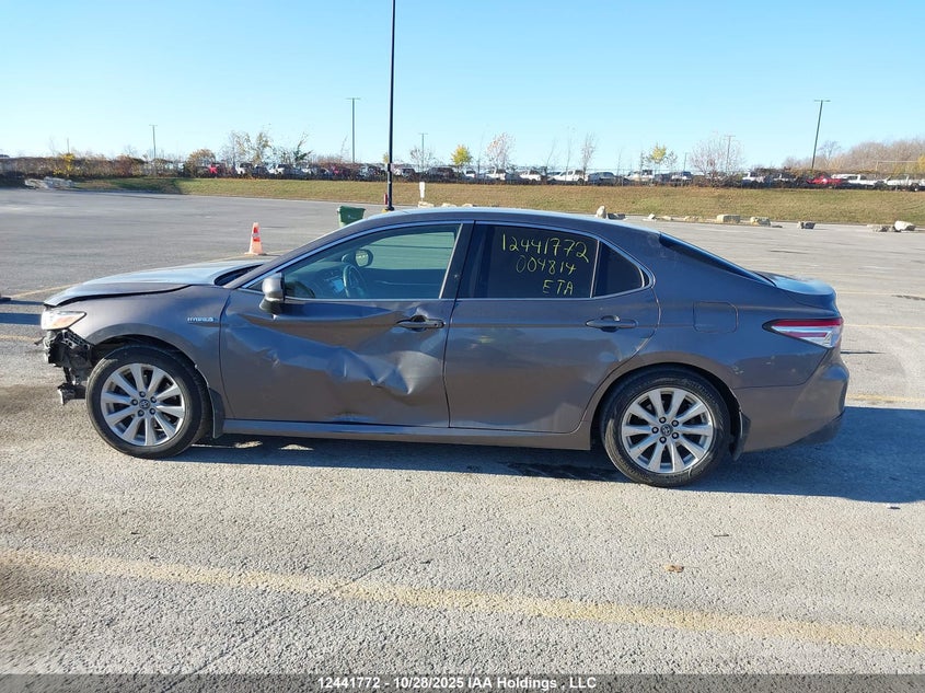 2019 Toyota Camry VIN: 4T1B31HK2KU004814 Lot: 12441772