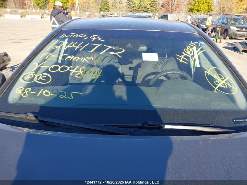 2019 Toyota Camry VIN: 4T1B31HK2KU004814 Lot: 12441772