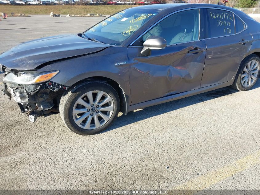 2019 Toyota Camry VIN: 4T1B31HK2KU004814 Lot: 12441772