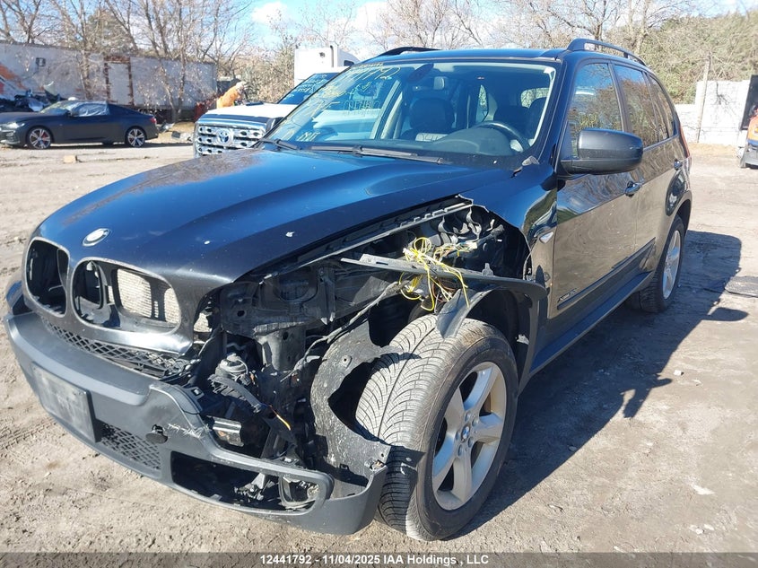 5UXFE43559L269616 2009 BMW X5 photo no. 12